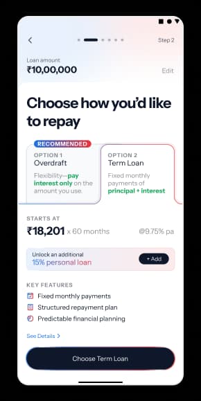 Mobile repayment selection showing overdraft and term loan options